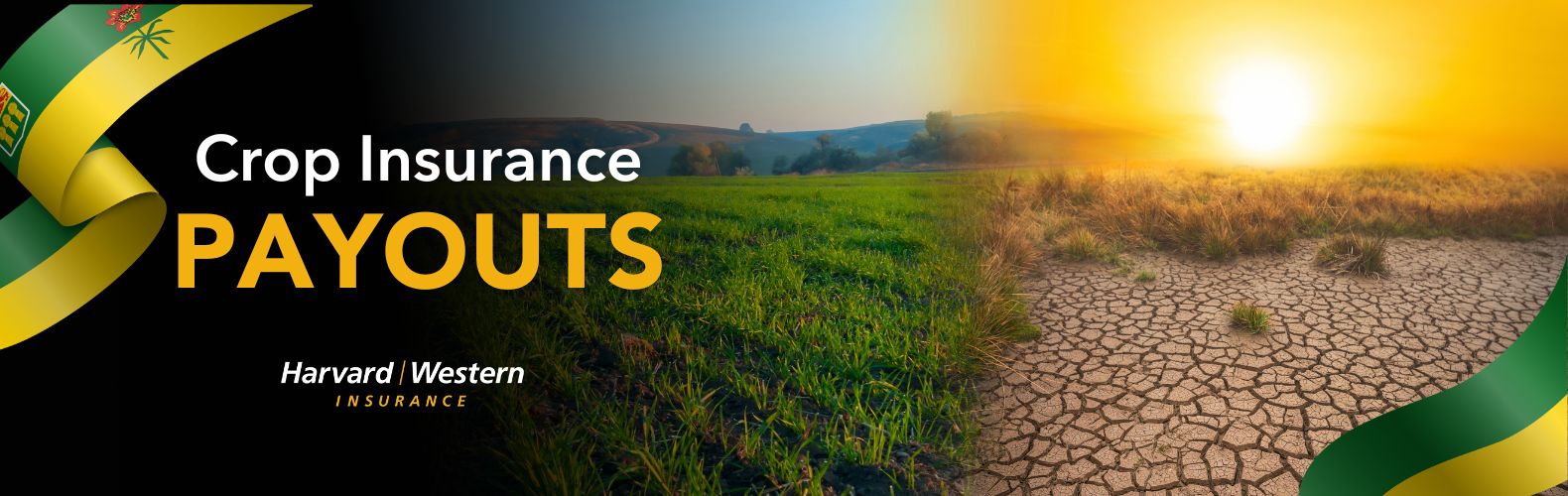 Climate change concept crop insurance saskatchewan
